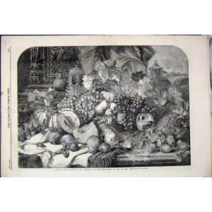 1859 Fruit Duffield British Institution Antique Print  