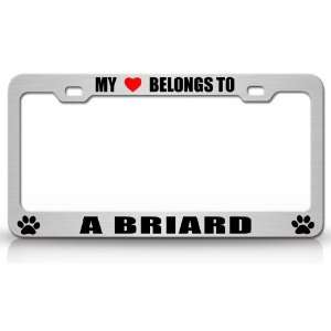 MY HEART BELONGS TO A BRIARD Dog Pet Steel Metal Auto License Plate 