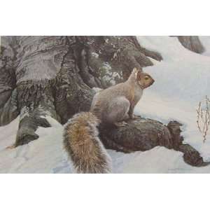  Robert Bateman   Gray Squirrel Canvas Giclee