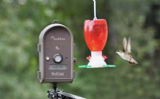   Audubon BirdCam Bird Cam Wildlife Camera 858381001051  