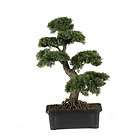 Nearly Natural 24 Artificial Cedar Bonsai Tree   2 Authentic Silk 