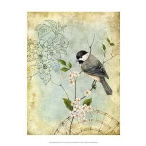  Jane Maday   Songbird Sketchbook II