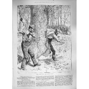  1886 AGRICULTURE MAY BARK HARVEST MEN CUTTING TREES