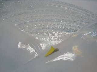 Pierre d Avesn Opalescent Glass Charger Plate  