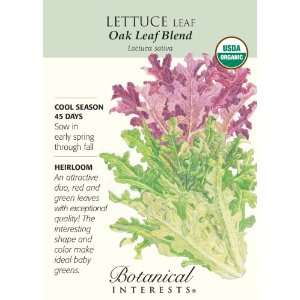 Lettuce Leaf Oak Leaf Blend Certified Organic Seed Patio 