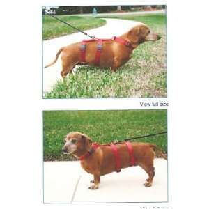  Harness for Dachshunds & Small Dogs