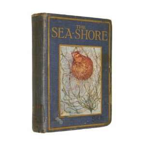  The Sea Shore Books