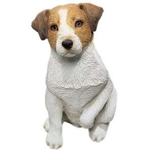  Jack Russell Terrier   Rough, White / Brown   by Sandicast 