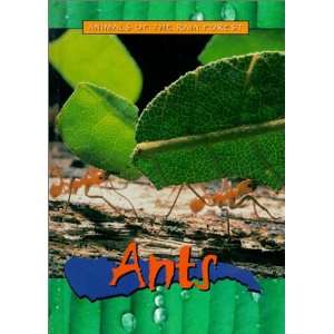  Ants (Animals of the Rain Forest) (9780739830987) Christy 