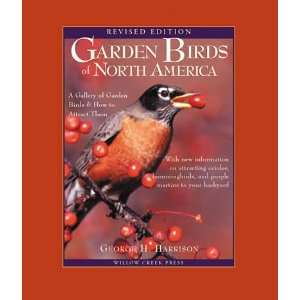  Willow Creek Garden Birds Of America 2Nd Ed Patio, Lawn 
