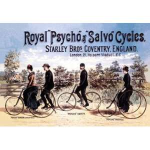  Royal Psycho and Salvo Cycles 20x30 poster