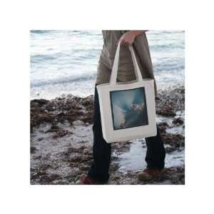  Sky Organic Cotton Shopping Bag American Made by Earth 