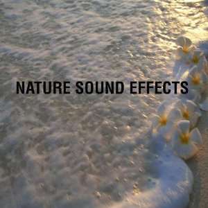  Nature Sound Effects Nature Sound Effects Music