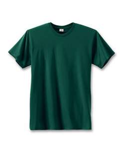 Hanes Mens Nano T® T shirt   style 4980  