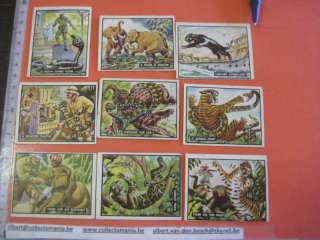 cards Bring em back alive T.C.G. 1950 Topps animals  