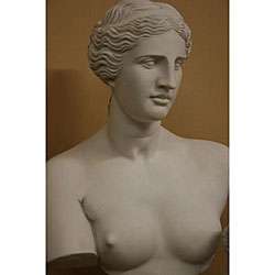White Bonded Marble Aphrodite of Melos (Venus di Milo) Bust 