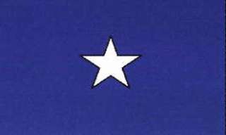 Rebel Bonnie Blue Star Confederate USA 3x5 Flag Banner  
