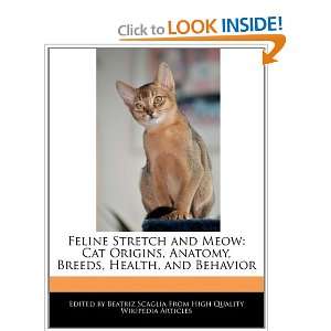  Feline Stretch and Meow Cat Origins, Anatomy, Breeds 