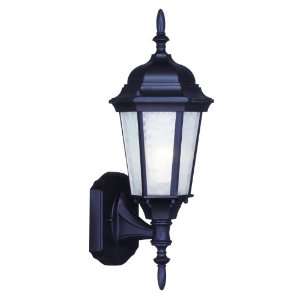   Hamilton 1 Light 100 Watt 6 Wide Outdoor Wall Sconce with Clear Water