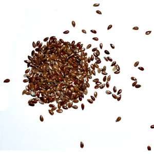 Spice Flax Seed 1 Lb Grocery & Gourmet Food