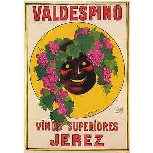  VALDESPINO VINOS SUPERIORES JEREZ WINE GRAPES SPAIN 