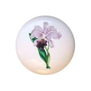  Large lipped Cattleya Flowers Floral Drawer Pull Knob 