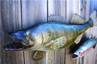 NEW XL Walleye Fish Mount taxidermy 29 inch Quality A+  
