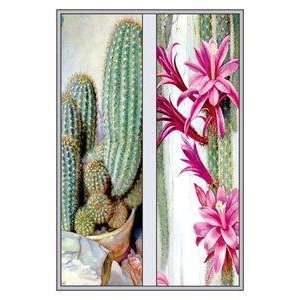  Vintage Art Cactus and Flower   10288 8