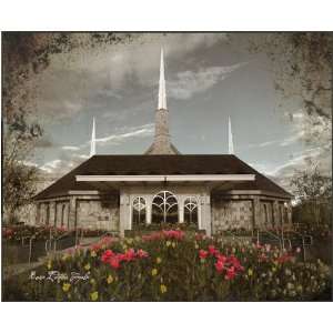  LDS Boise Temple with Flowers 12x10 Plaque   Framed Legacy 