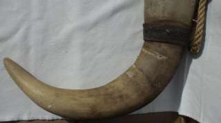 VINTAGE BULL HORNS WITH LEATHER AND SILVER CONCHO  