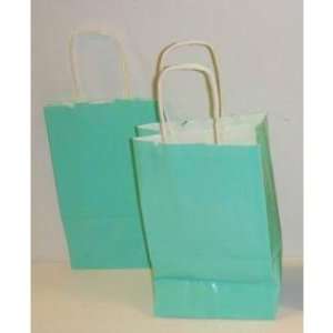  Mint Green Paper Gift Bag with Handles Case Pack 240