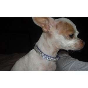  X Small Purple Swarovski crystal dog collar fits 8 10 