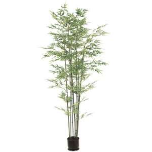  Pack of 2 Decorative Thin Bamboo Trees with Round Pots 7 