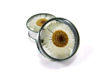 Pair of Embedded Daisy Plugs gauges Choose Size new  