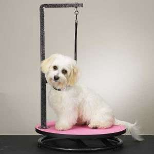 Master Equipment Small Pet Grooming Table   Pink Top  