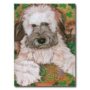  Soft Coated Wheaten Gift Enclosure Cards   Set of 5 