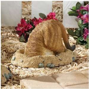  6.5 African Wildlife Cute Meerkat Sculpture Statue 