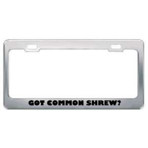 Got Common Shrew? Animals Pets Metal License Plate Frame Holder Border 