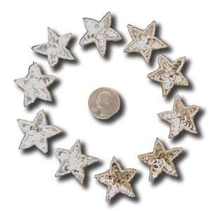  Lot 10 Small Applique Silver Sequined Star Patches Craft 