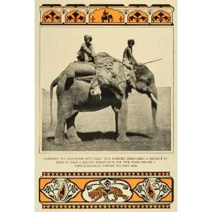 1911 Print Man Eating Tiger Hunting India Elephants Poaching Wildlife 