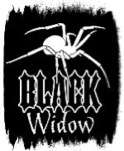 Black Widow is engineered for detectorists with challenged hearing and 