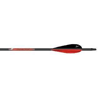Carbon Express Carbon Arrow Thunderstorm 6 Pack T3021  Fitness 