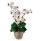 NearlyNatural Double Stem Phalaenopsis Silk Flower Arrangement White