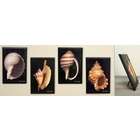 Quality Best Quality  Shell Wall Plaques 4 Styles Set of 8
