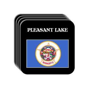 US State Flag   PLEASANT LAKE, Minnesota (MN) Set of 4 Mini Mousepad 