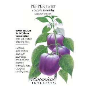  Pepper Sweet Purple Beauty Seed Patio, Lawn & Garden