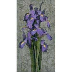  Purple Iris Poster Print