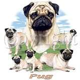 Pug Lawn Dog T Shirt S  6x  Choose Color  