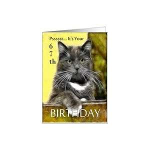    Birthday ~ Age Specific 67th ~ Cat in a box Card Toys & Games