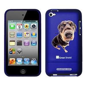  Rottweiler on iPod Touch 4g Greatshield Case  Players 